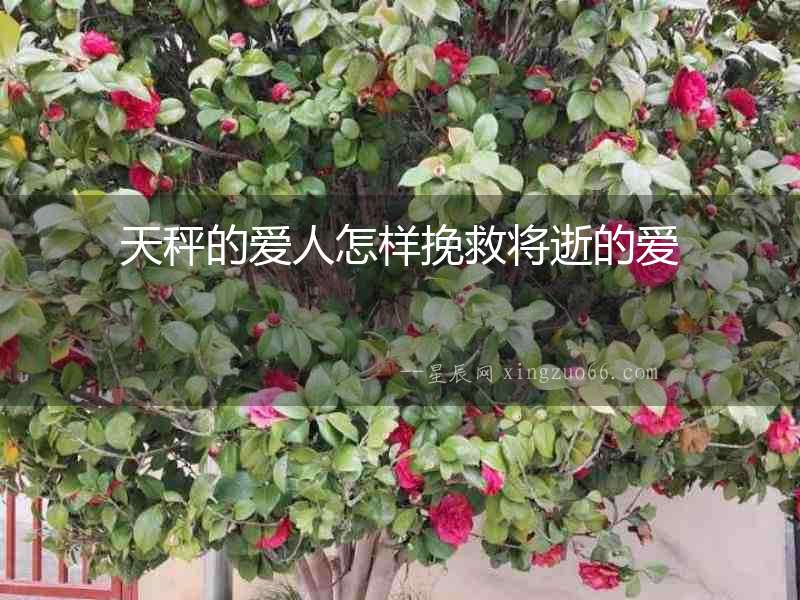 天秤的愛人怎樣挽救將逝的愛