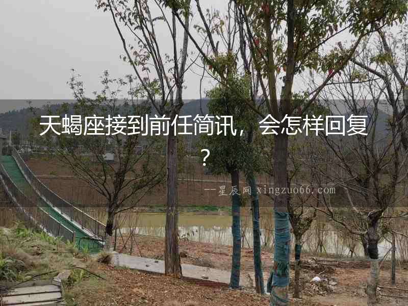 天蝎座接到前任簡訊，會怎樣回復(fù)？