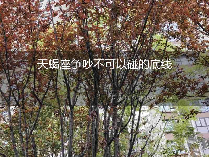 天蝎座爭吵不可以碰的底線