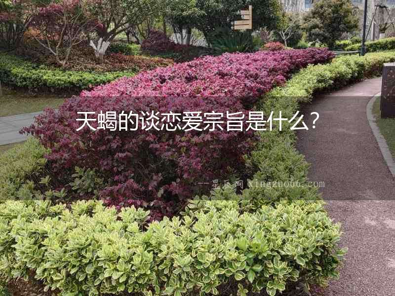 天蝎的談戀愛宗旨是什么？