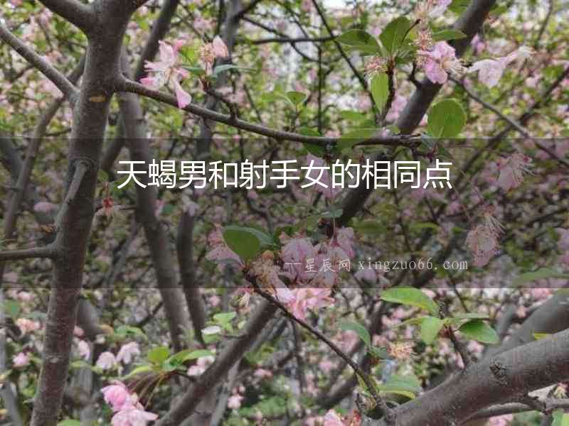 天蝎男和射手女的相同點