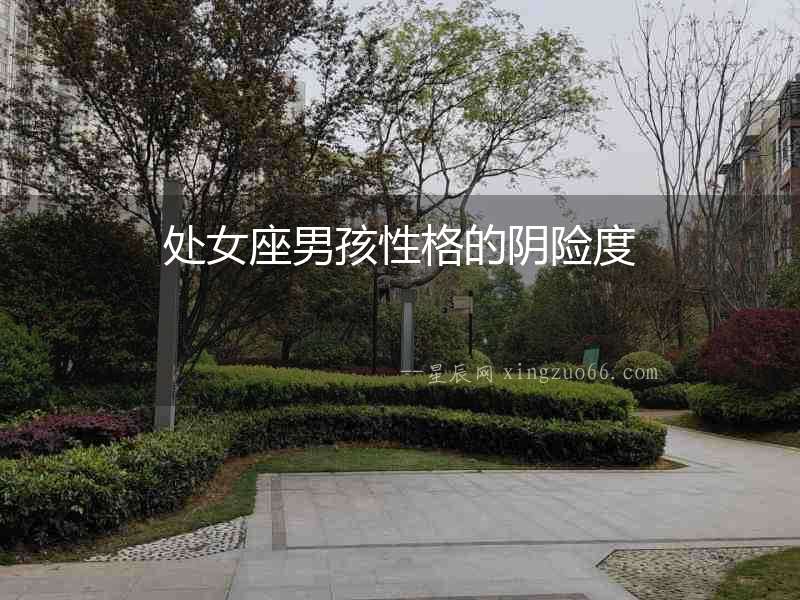 處女座男孩性格的陰險度
