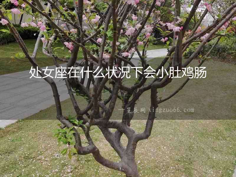 處女座在什么狀況下會小肚雞腸