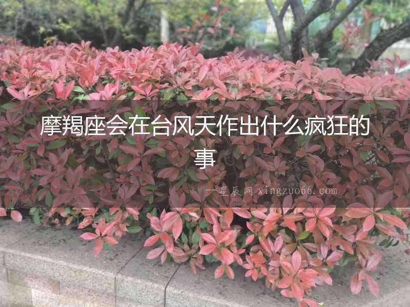 摩羯座會在臺風天作出什么瘋狂的事