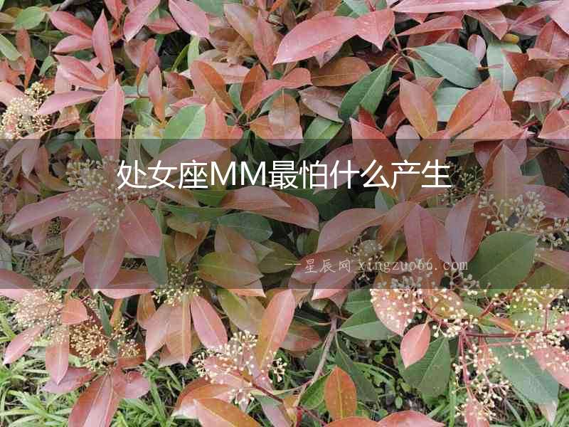處女座MM最怕什么產生