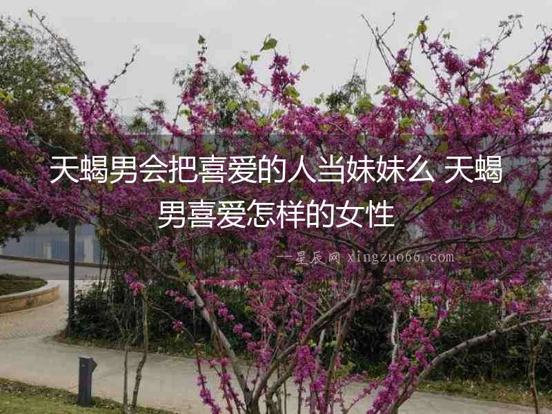 天蝎男會把喜愛的人當妹妹么 天蝎男喜愛怎樣的女性