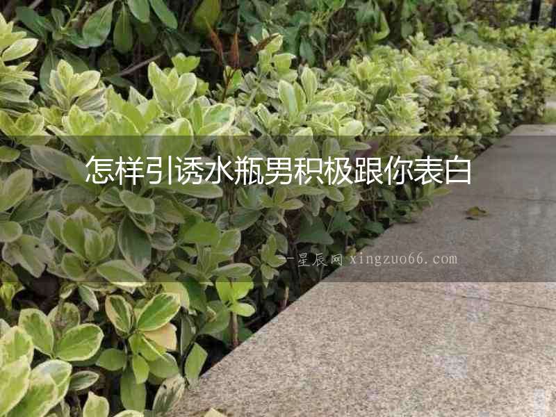 怎樣引誘水瓶男積極跟你表白