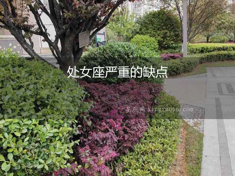 處女座嚴重的缺點