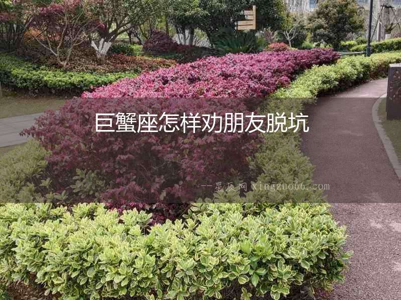 巨蟹座怎樣勸朋友脫坑