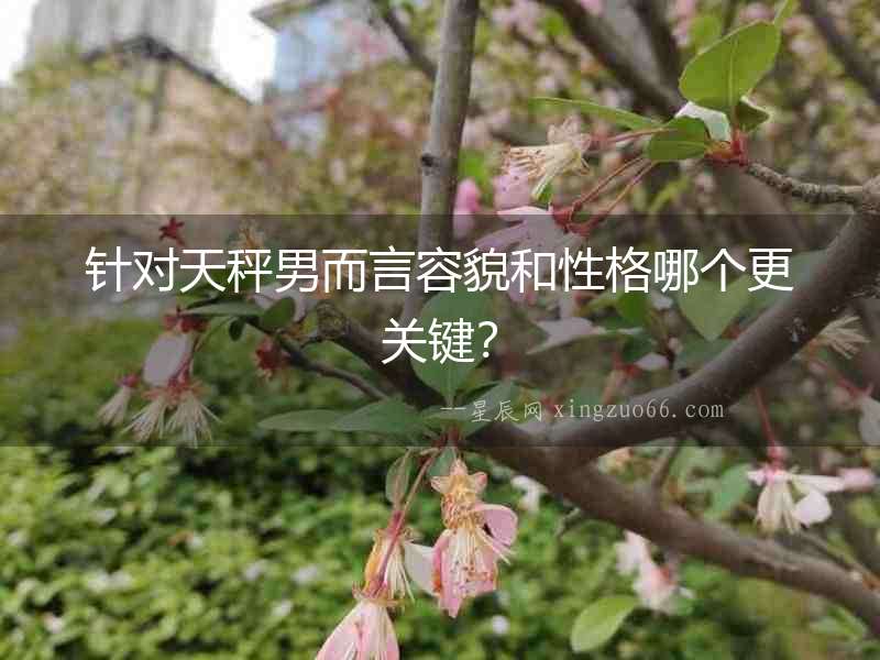 針對天秤男而言容貌和性格哪個更關鍵？