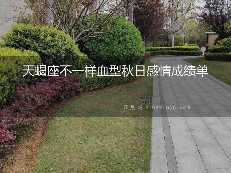 天蝎座不一樣血型秋日感情成績單