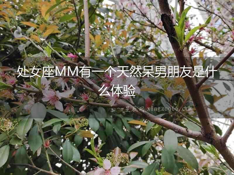 處女座MM有一個(gè)天然呆男朋友是什么體驗(yàn)