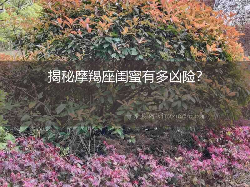 揭秘摩羯座閨蜜有多兇險？