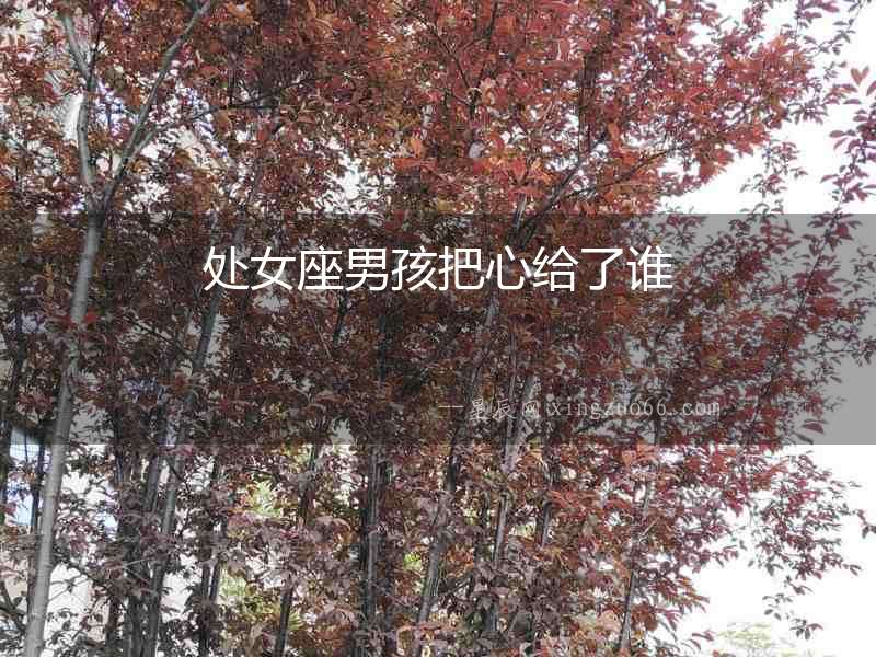 處女座男孩把心給了誰