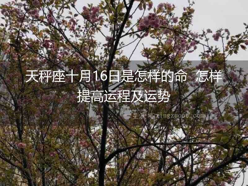 天秤座十月16日是怎樣的命  怎樣提高運程及運勢