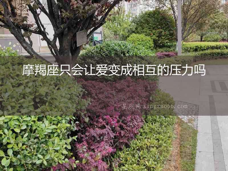 摩羯座只會讓愛變成相互的壓力嗎