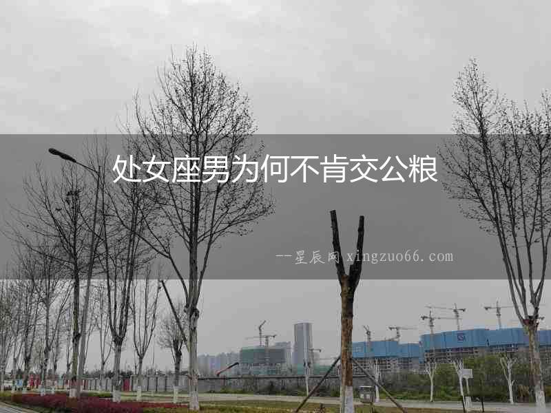 處女座男為何不肯交公糧