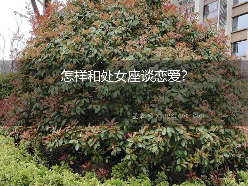 怎樣和處女座談戀愛？