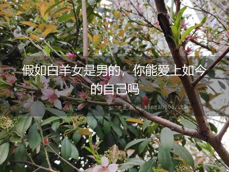 假如白羊女是男的，你能愛上如今的自己嗎