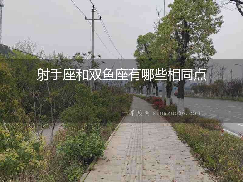 射手座和雙魚座有哪些相同點