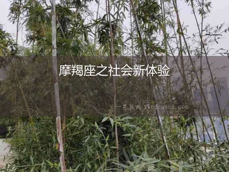 摩羯座之社會新體驗