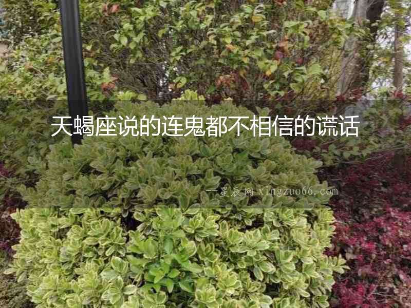 天蝎座說的連鬼都不相信的謊話