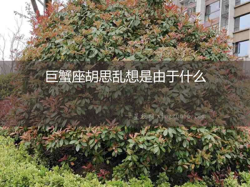 巨蟹座胡思亂想是由于什么