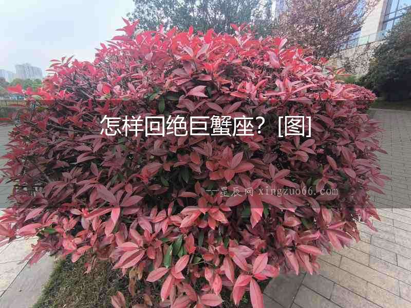 怎樣回絕巨蟹座？[圖]