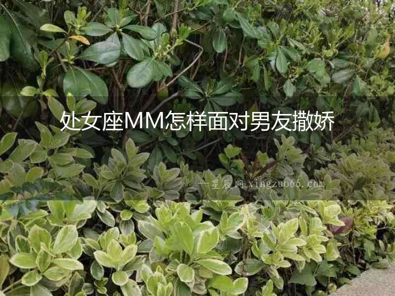 處女座MM怎樣面對男友撒嬌