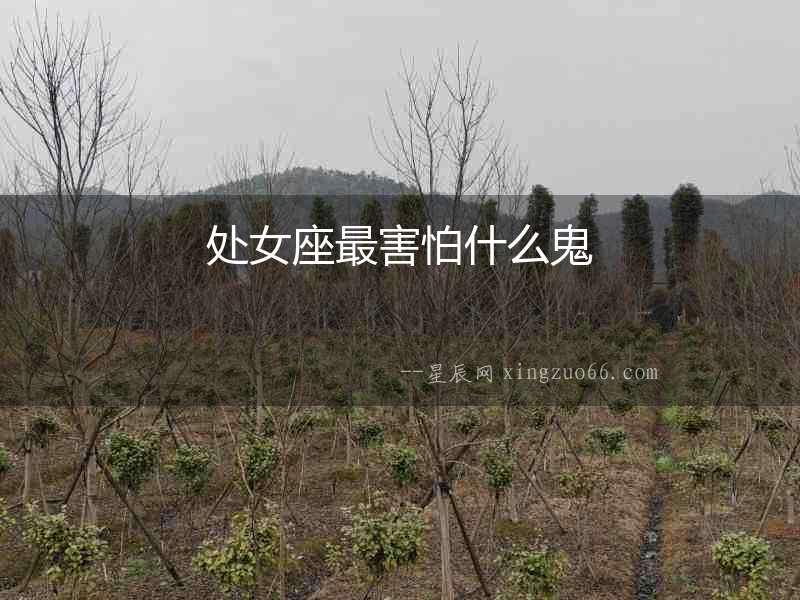 處女座最害怕什么鬼