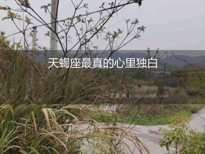 天蝎座最真的心里獨白