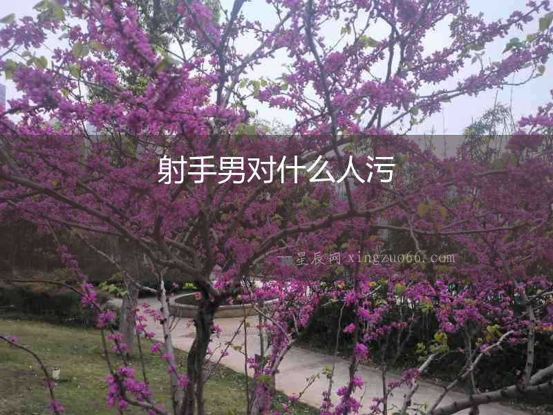 射手男對什么人污