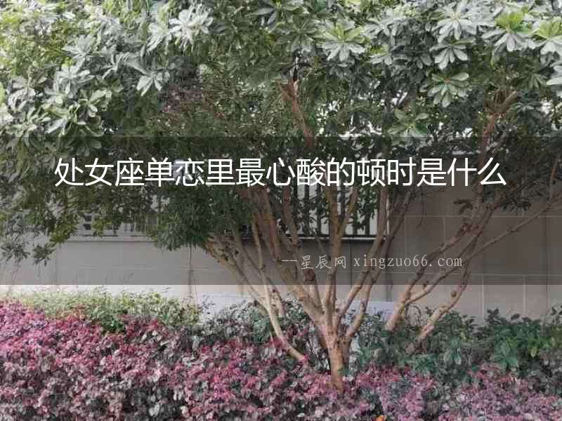 處女座單戀里最心酸的頓時是什么