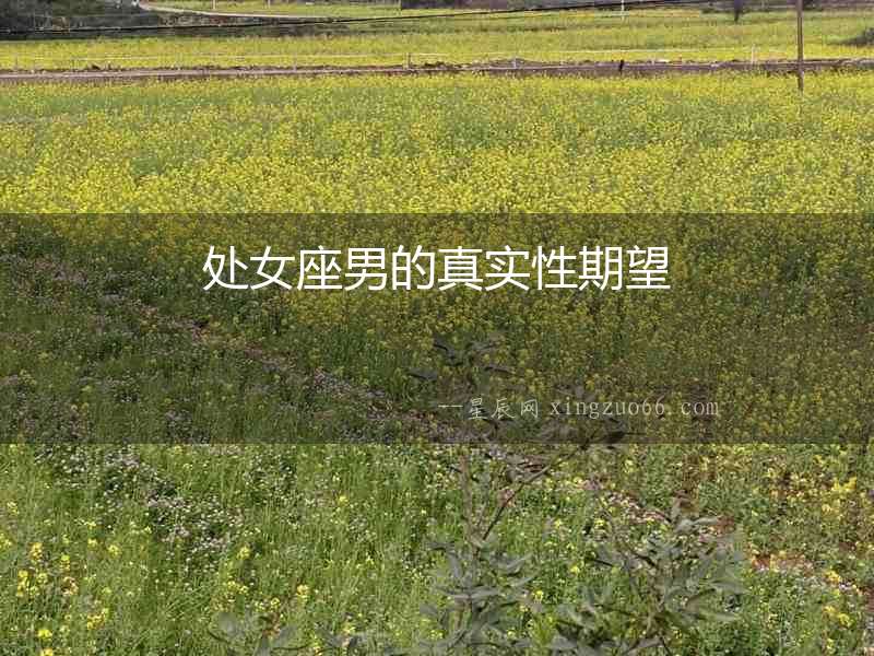 處女座男的真實性期望