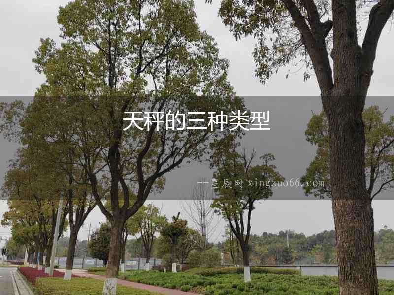 天秤的三種類型