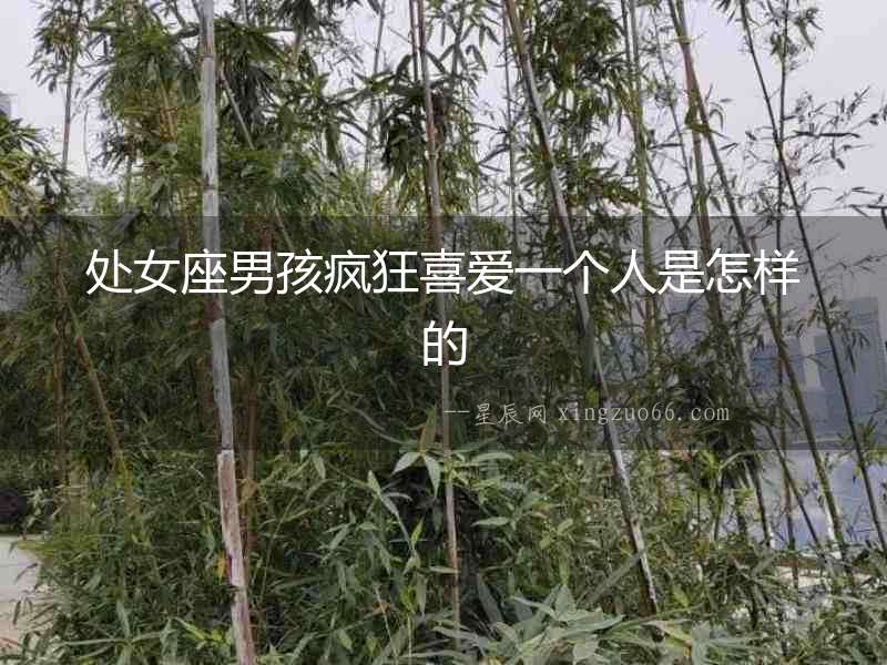 處女座男孩瘋狂喜愛(ài)一個(gè)人是怎樣的