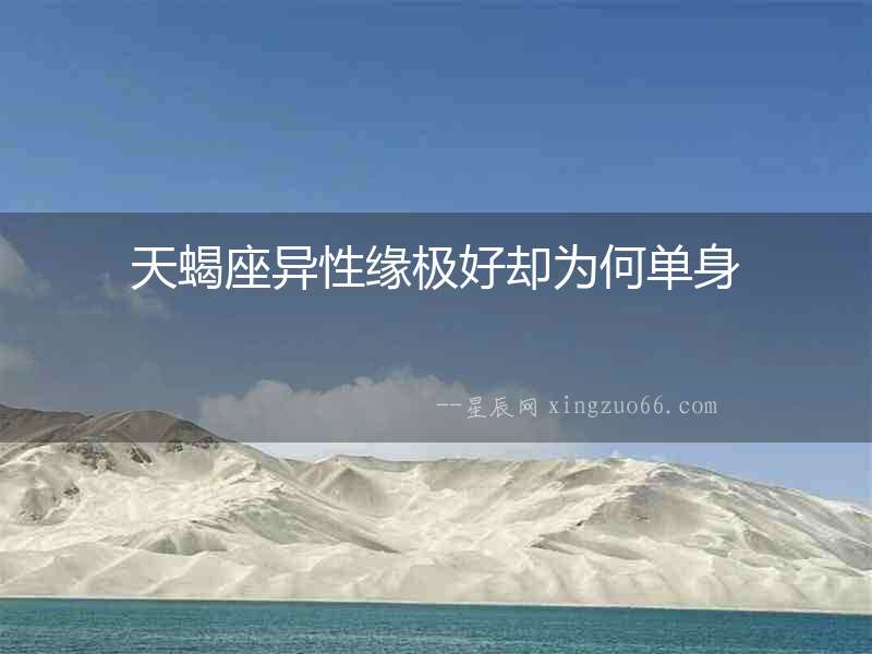 天蝎座異性緣極好卻為何單身
