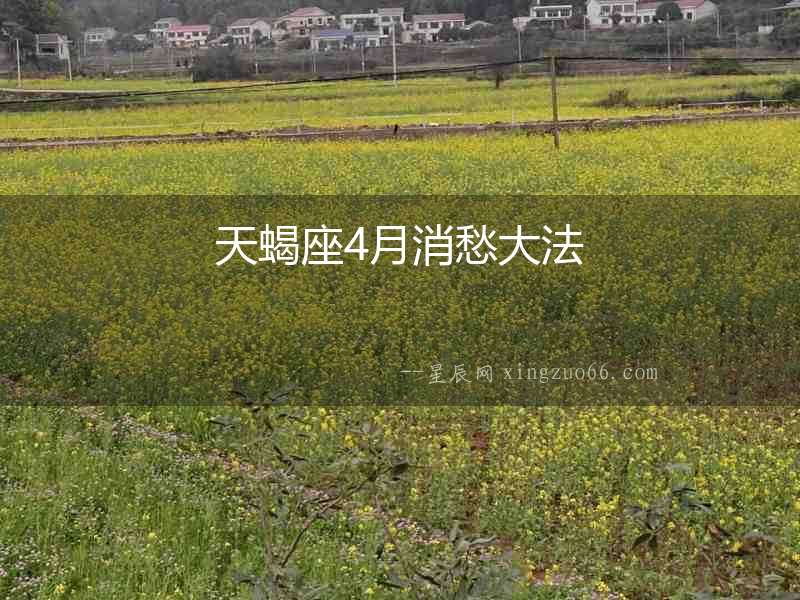 天蝎座4月消愁大法