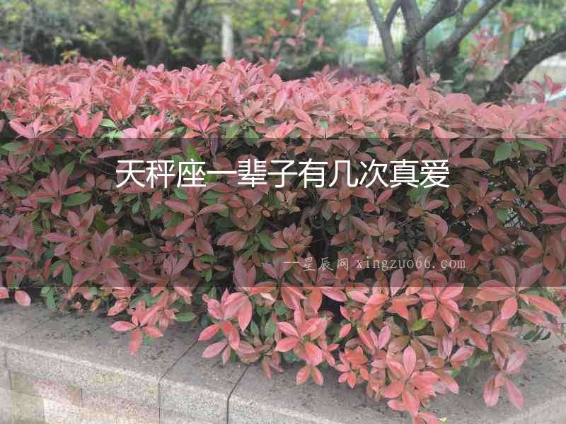 天秤座一輩子有幾次真愛