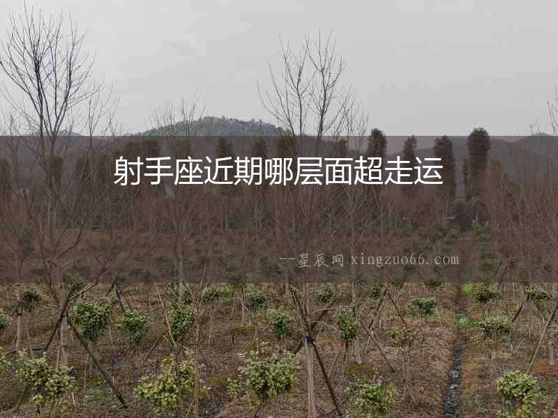 射手座近期哪層面超走運