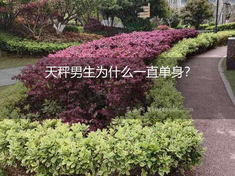 天秤男生為什么一直單身？