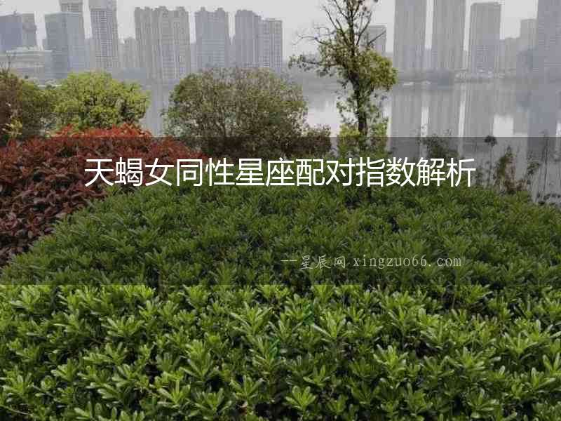 天蝎女同性星座配對指數解析