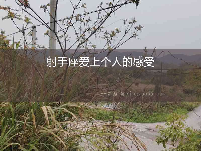 射手座愛上個人的感受