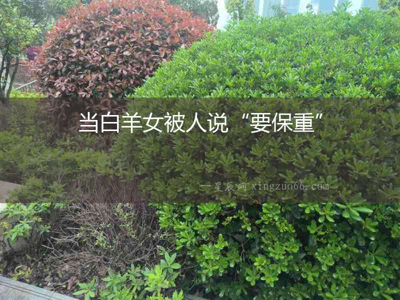 當白羊女被人說“要保重”