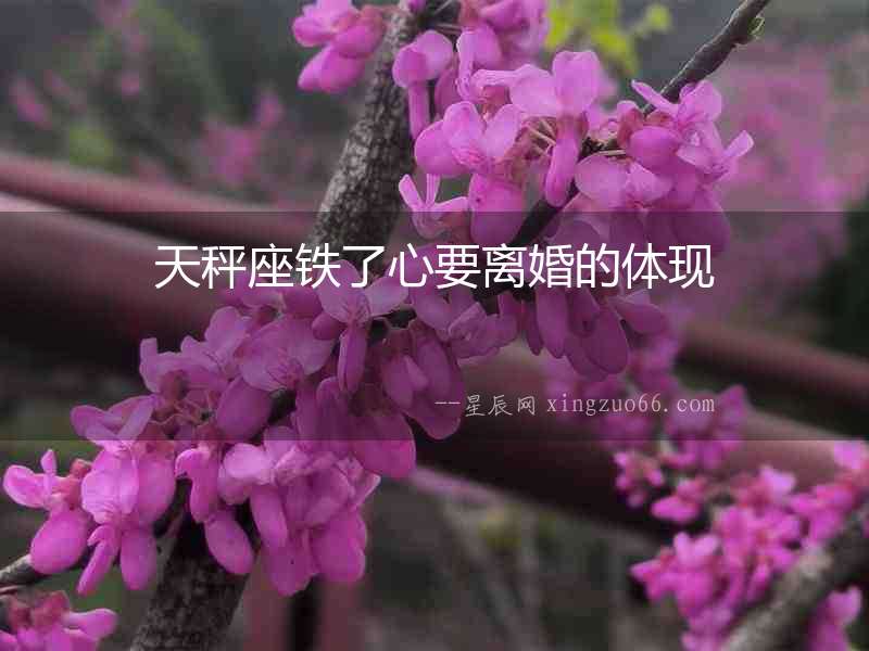 天秤座鐵了心要離婚的體現(xiàn)
