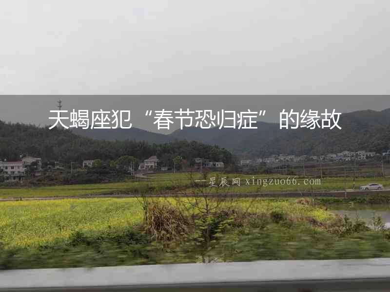 天蝎座犯“春節(jié)恐歸癥”的緣故