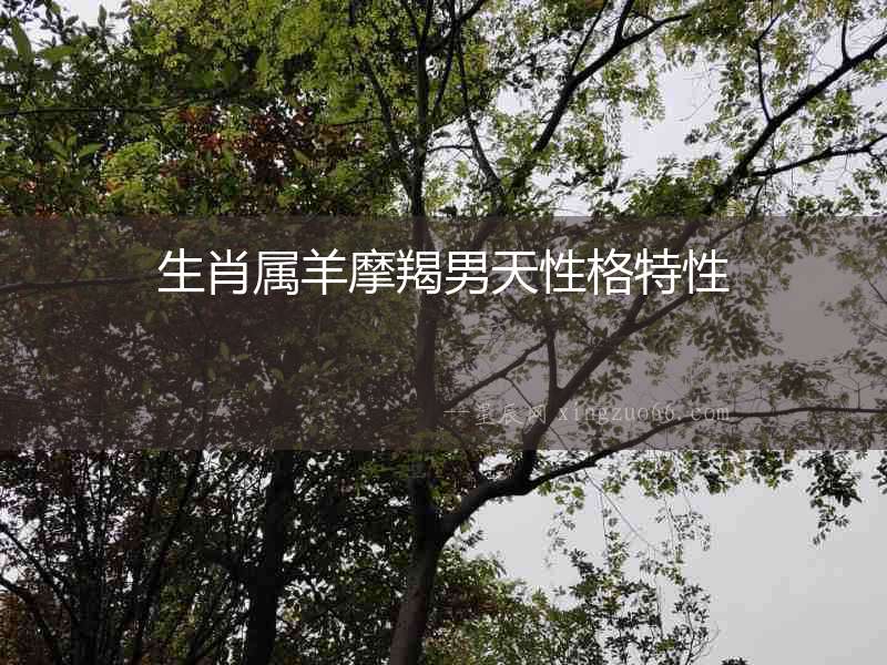 生肖屬羊摩羯男天性格特性