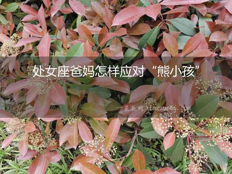 處女座爸媽怎樣應對“熊小孩”