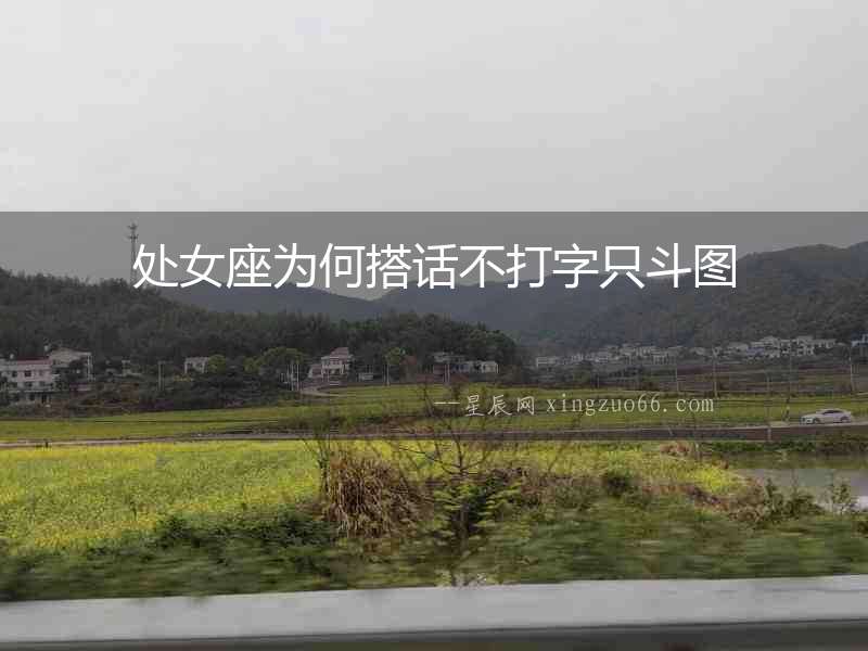 處女座為何搭話不打字只斗圖