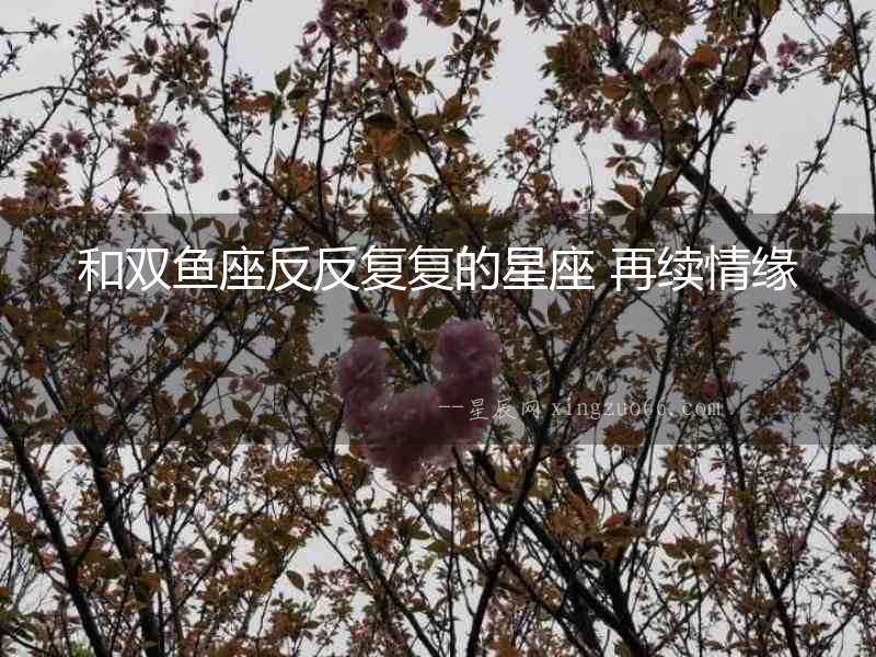 和雙魚座反反復復的星座 再續情緣